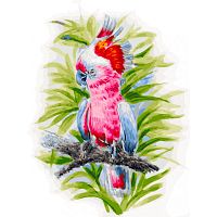 Картина по номерам Белоснежка: Розовый попугай