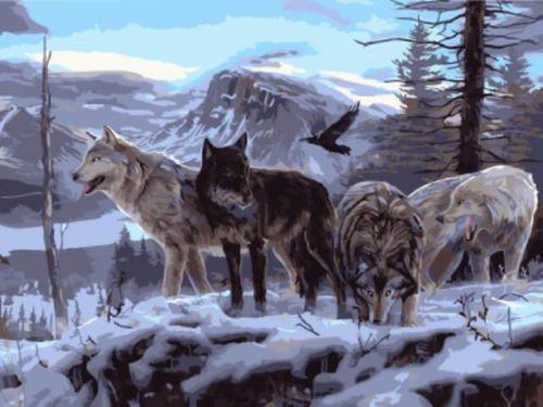 Картина по номерам Цветной: Волчья стая на скале (EX5806)