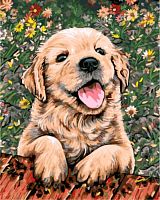 Картина по номерам Цветной: Веселый щенок