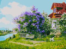 Картина по номерам Белоснежка: Дом над рекой