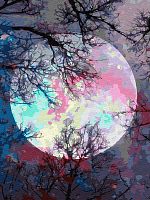 Картина по номерам Цветной: Неоновая луна
