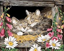 Картина по номерам Цветной: Котята в гнезде