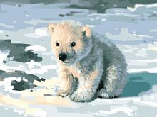 Картина по номерам Цветной: Милый медвежонок