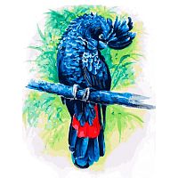Картина по номерам Белоснежка: Синий попугай