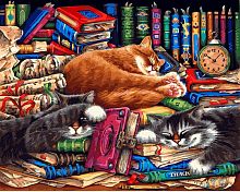 Картина по номерам Белоснежка: Библиотека кошек