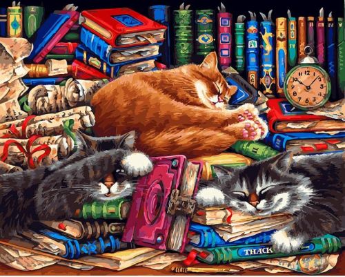 Картина по номерам Белоснежка: Библиотека кошек (275-AB)