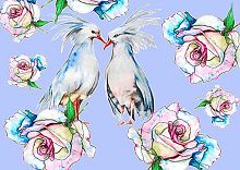 Картина по номерам Цветной Premium: Влюбленные птицы