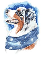 Картина по номерам Цветной: Зимний пес