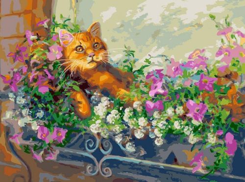 Картина по номерам Белоснежка: Любимый кот на отдыхе (340-AS)