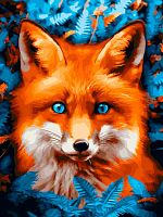 Картина по номерам Белоснежка: Голубоглазая лисица