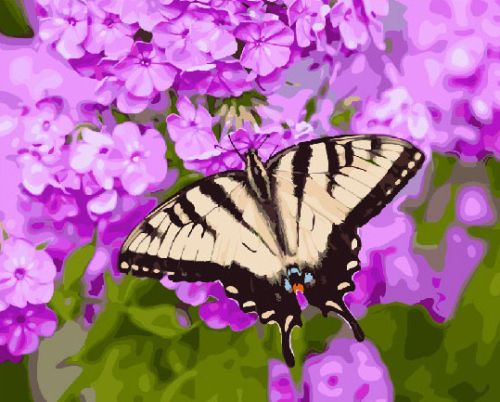Картина по номерам Paintboy: Бабочка на цветке (ZX 21985)