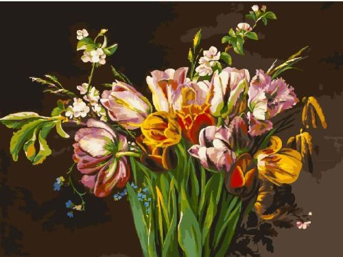 Картина по номерам Белоснежка: Голландские тюльпаны (261-AS)