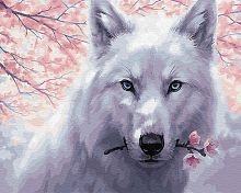 Картина по номерам Цветной: Белый волк