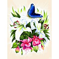 Картина по номерам Белоснежка: Бабочка в ботаническом саду