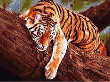 Картина по номерам Белоснежка: Тигр на дереве