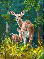Картина по номерам Белоснежка: Пятнистые олени