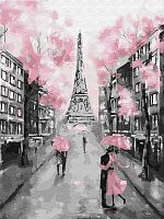 Картина по номерам Цветной: Гламурный Париж
