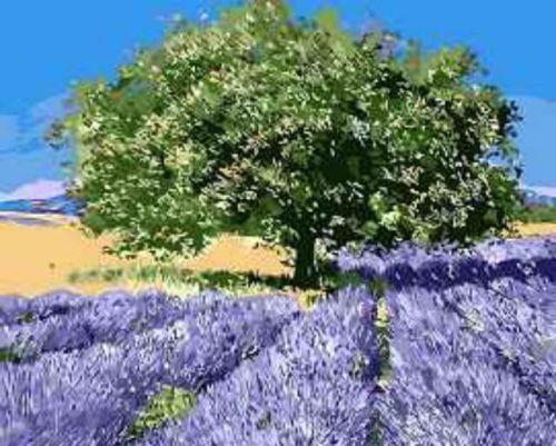 Картина по номерам Цветной Premium: Дерево на лавандовом поле (MG7628)