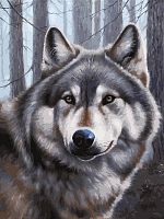 Картина по номерам Белоснежка (090-AS Волк )