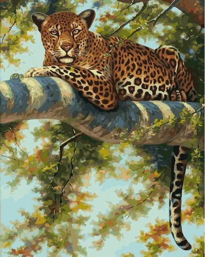 Картина по номерам Белоснежка: Леопард в тени ветвей (276-AB)
